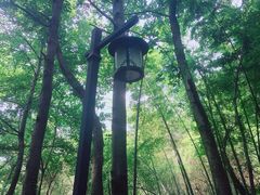 -法云安缦酒店