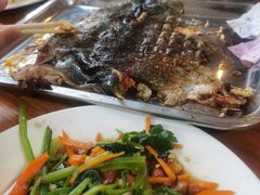 -可心烤鱼