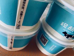 -正飞鲜奶(公园北街店)