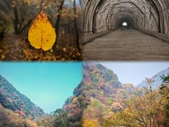 -西安祥峪森林公园