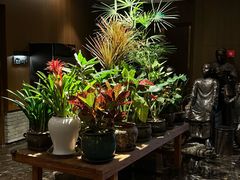 -鼎膳常火锅(华阳店)