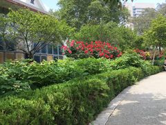 -洛阳市牡丹公园