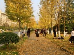 -浙江农林大学(东湖校区)