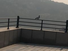 -松月湖大酒店