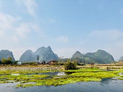 -靖西鹅泉风景区