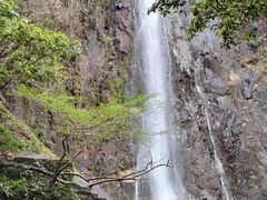 -姑婆山旅游区