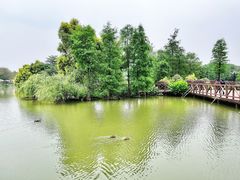 -海珠湖公园