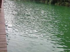 -祁门牯牛降观音堂风景区