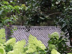 -寂照庵
