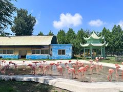 -秦皇岛野生动物园