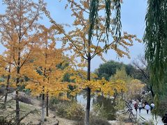 -北京西山国家森林公园