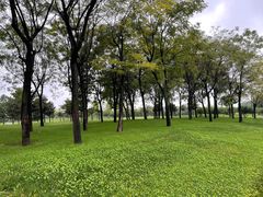 -洨河生态公园