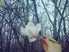 -汉长安城未央宫国家考古遗址公园