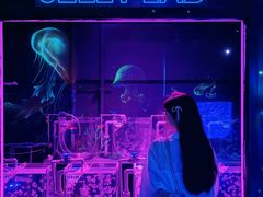 -沈阳海洋探索中心