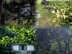 -深圳国际园林花卉博览园