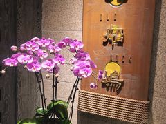 -老船坞水上餐厅(亚洲大酒店  东四十条店)