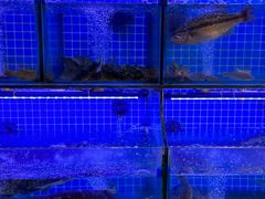 -有藕有鱼·湖北菜(唐家墩店)