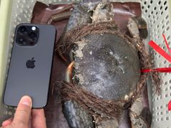 -龙海鲜螃蟹王(宏茂桥店)