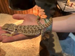 -酷嗒动物文化乐园(cutezoo西溪乐天城店)