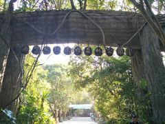-西双版纳原始森林公园