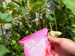 -田园印象·成都土菜院子(华阳店)