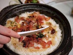 -探窝·竹笙椰子鸡(杨箕店)