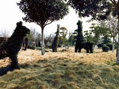 -武汉紫薇都市田园