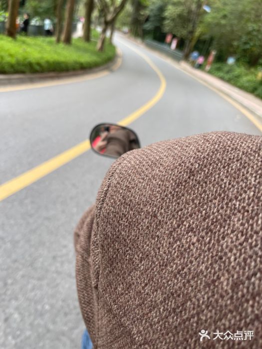 南国桃园旅游度假区图片