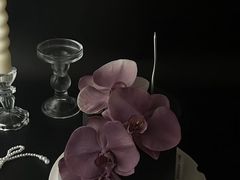 -Dark Horse·黑马蛋糕·低脂·低糖淡奶(金匙望湖大厦店)