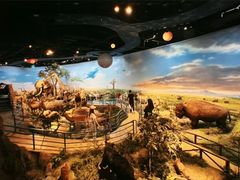 -陕西自然博物馆