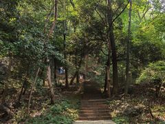 -九曜山