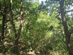 -大连冰峪旅游度假区