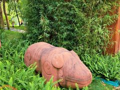 -成都市活水公园