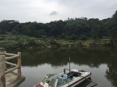 姥山岛-巢湖姥山岛