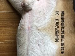 -美联众合动物医院·24h转诊中心