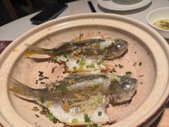 -滋粥楼·顺德菜(番禺广场总店)
