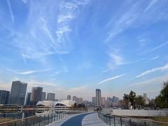 -金沙湖公园