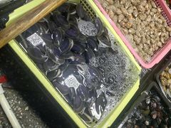 -霞涌市场海鲜摆卖区