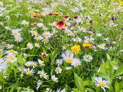 -长春公园(普阳街道)