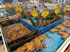 -海铺·渔家虾水饺(皇姑店)