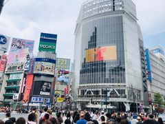 -涩谷区