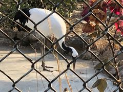 -石家庄市动物园