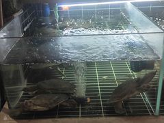 -老海陵·泰州菜(图书馆店)