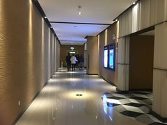 -百丽宫影城(CGS激光苏宁广场店)