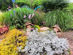 -上海共青森林公园