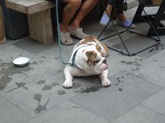 -RAC BAR(安福路店)