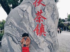 -茯茶镇