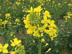 -孙家羊肉馆(庄良公路店)