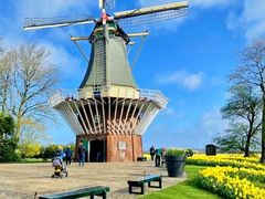 -比利时皇家美术馆