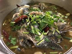 -风鑫铃罗非鱼(道沟店)